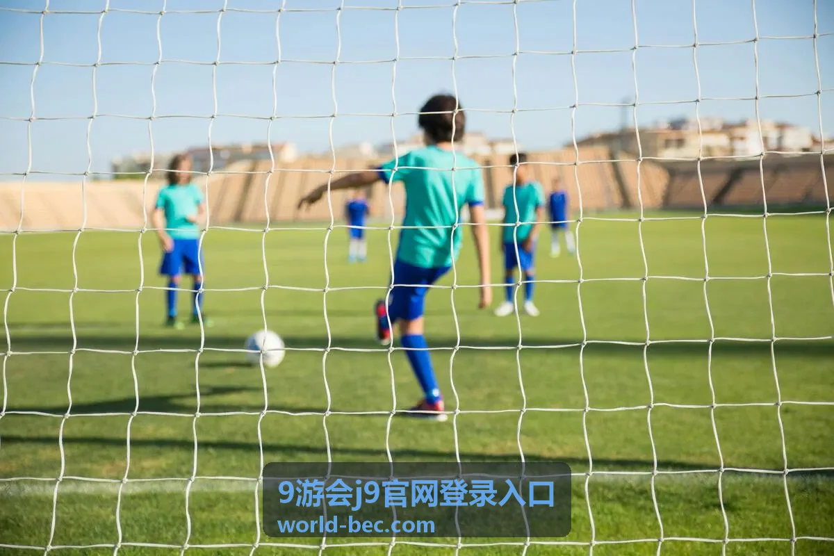 9游会j9官网登录入口密码与验证信息保护条目封面